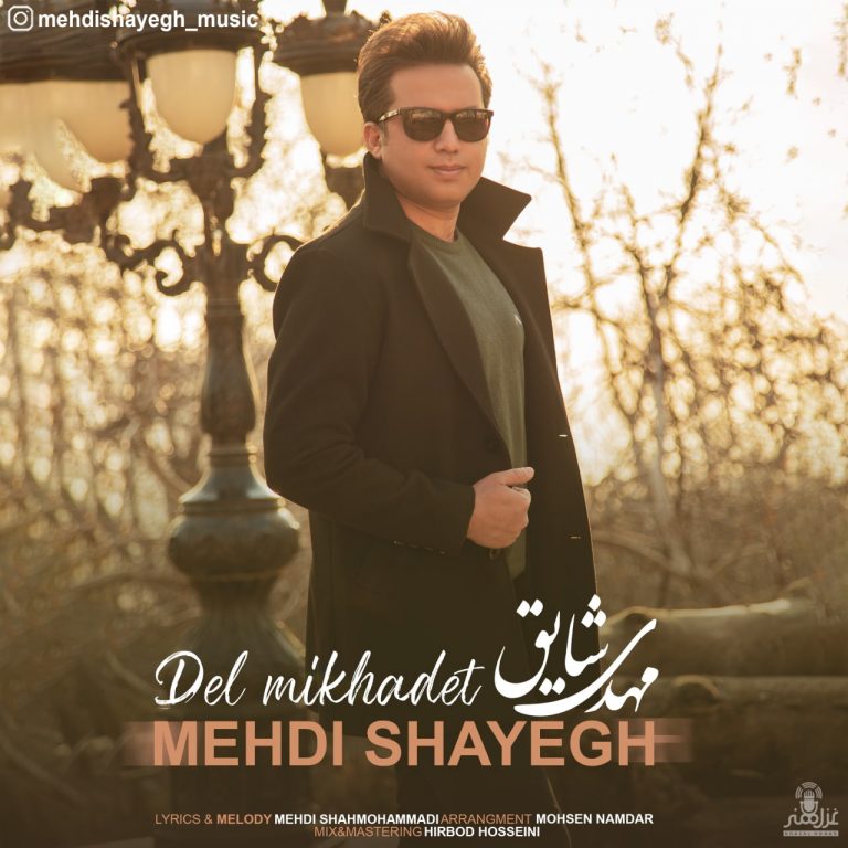 دانلود آهنگ مهدی شایق دل میخوادت